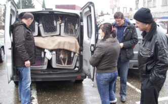 Hiljade pasa lutalica iz BiH izvezeno u Njemačku